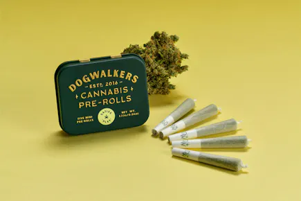 Dogwalkers | Cherry Maui Wowie mini prerolls | 5pk/1.75g