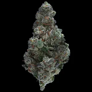 Prolific Growhouse - Sticky Icky