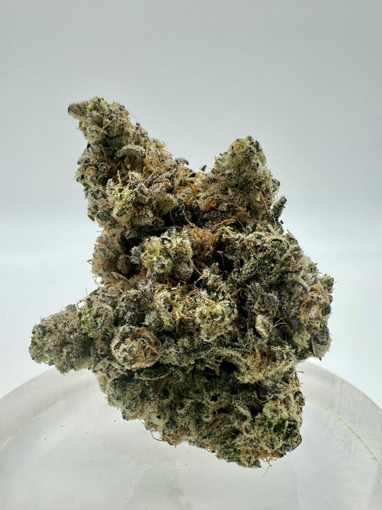 LA Pop Rockz - Indoor Flower - 3.5g (Jar) - Genuine