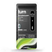 Turn Kiwi Spiked Punch 1g Disposable