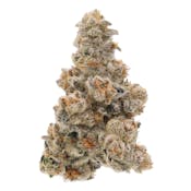 SENSE | LAZER WOLF | FLOWER | 3.5G