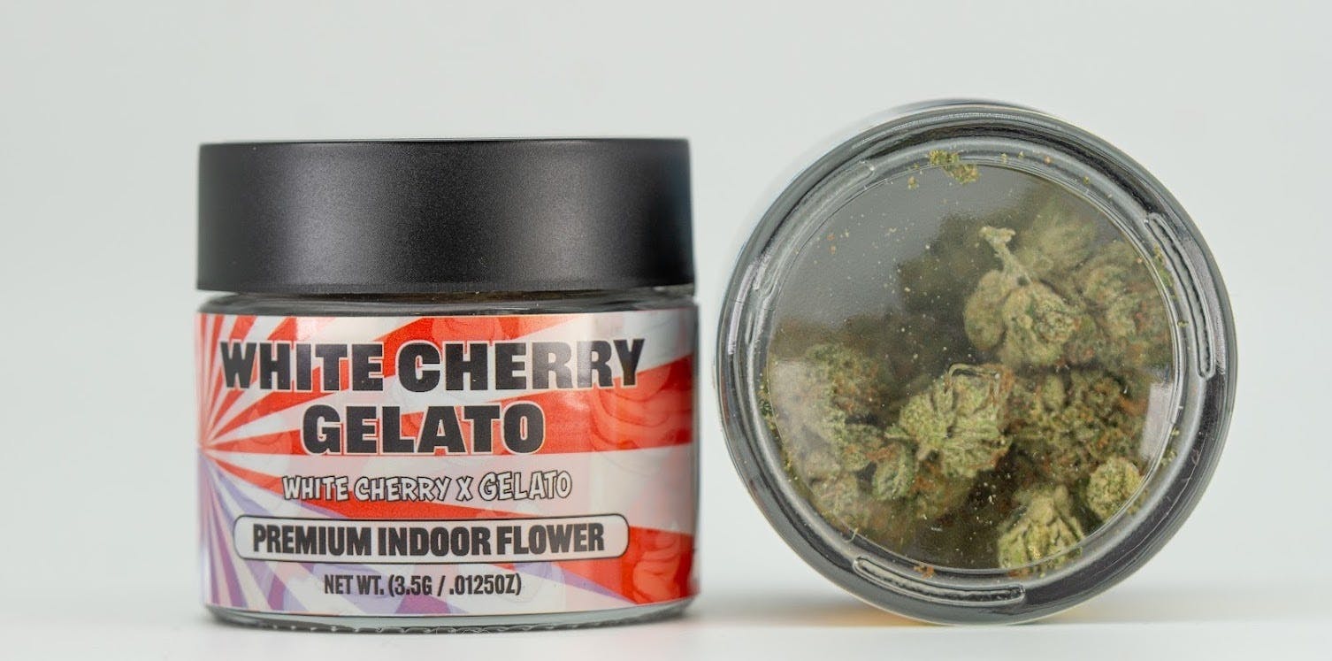 White Cherry Gelato 3.5G - Zanna
