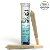 Coastal Sun Infused Pre-rolls 2pk 1.5g - GMO Garlic Cookies 48%
