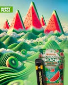 HAPPY PLACE | Kiwi Watermelon | 2G AIO