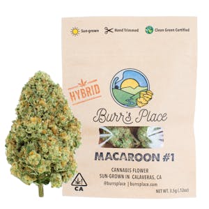 BURRS PLACE - BURRS PLACE | MACAROON | FLOWER | 3.5G