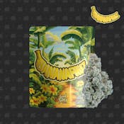 SEED JUNKY - BANANA FRUZ 3.5G