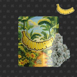 SEED JUNKY - Seed Junky - BANANA FRUZ - 3.5G