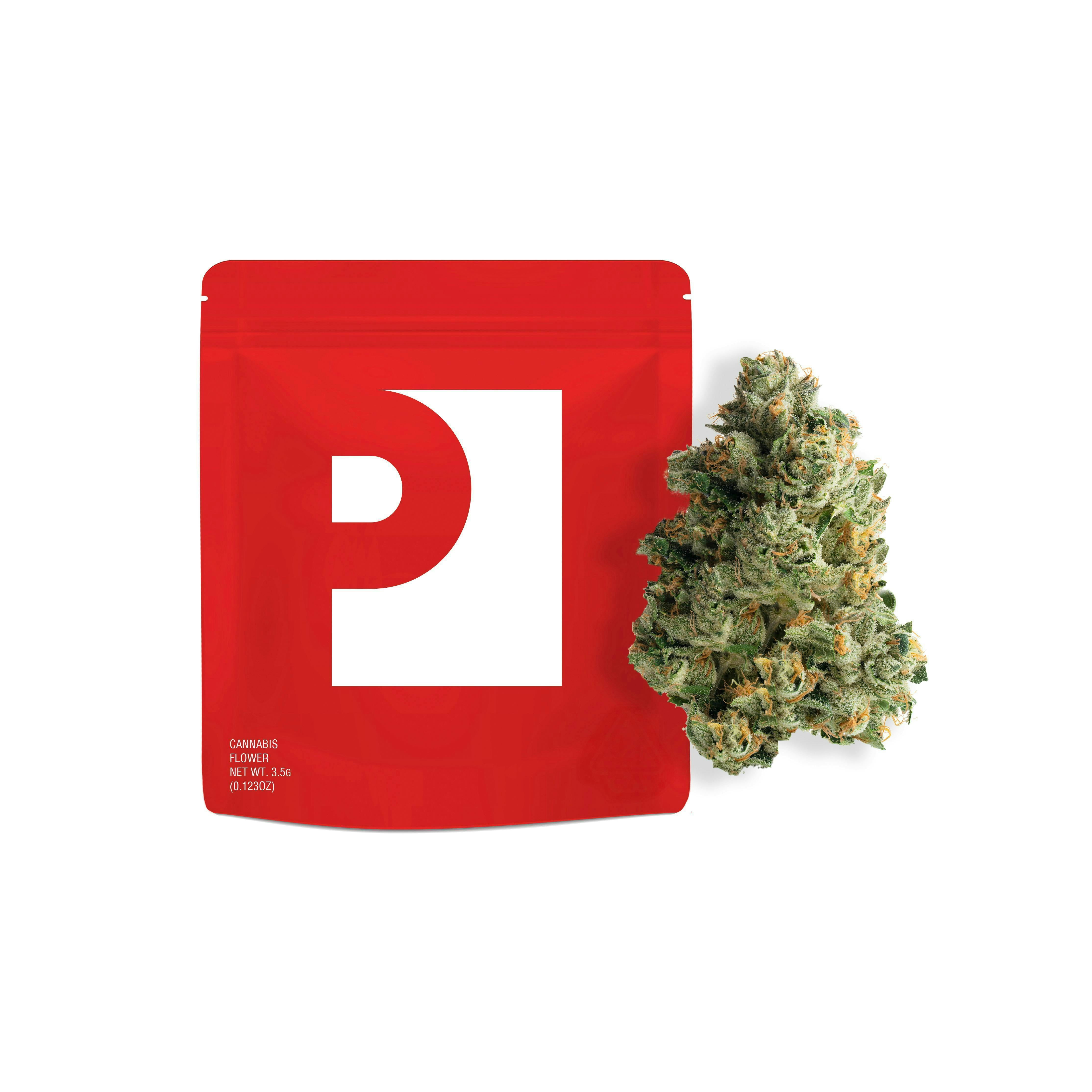 Preferred Gardens | Orange Crush | Big Buds - Preferred Gardens
