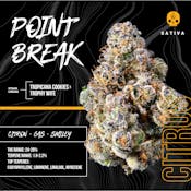 BOSKY | POINT BREAK | FLOWER | 3.5G