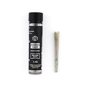 DANK BY DEFINITION - Amnesia Haze | Dank | Infused Preroll | 1.1g
