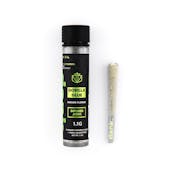 Gorilla Glue | Dank | Infused Preroll | 1.1g