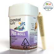 Coastal Sun Prerolls 10pk 3.5g - Hash Burger 29%
