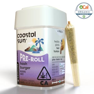 COASTAL SUN - Coastal Sun Prerolls 10pk 3.5g - Hash Burger 28%