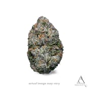 Mochi Gelato | Society C | Bulk Flower