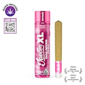 Gelato - XL - Quad Infused Preroll - 2g