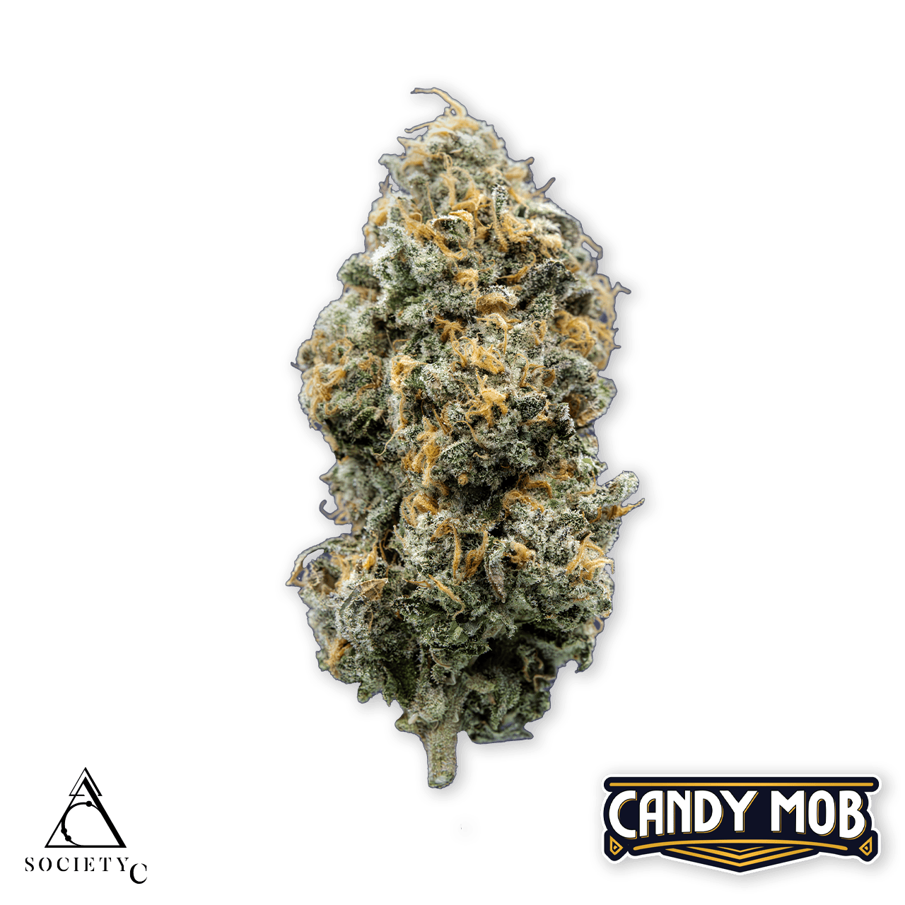 Society C | Candy Mob | Big Buds | 3.5g - Society C