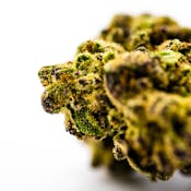 Dank | Cereal Milk| Sungrown | Cereal Milk | 3.5g