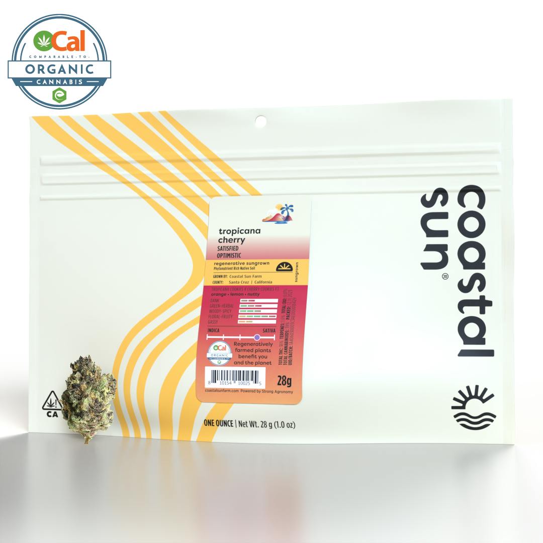 4136331_coastal-sun-sungrown-
