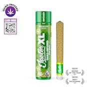 Iced Matcha - XL - Quad Infused Preroll - 2g