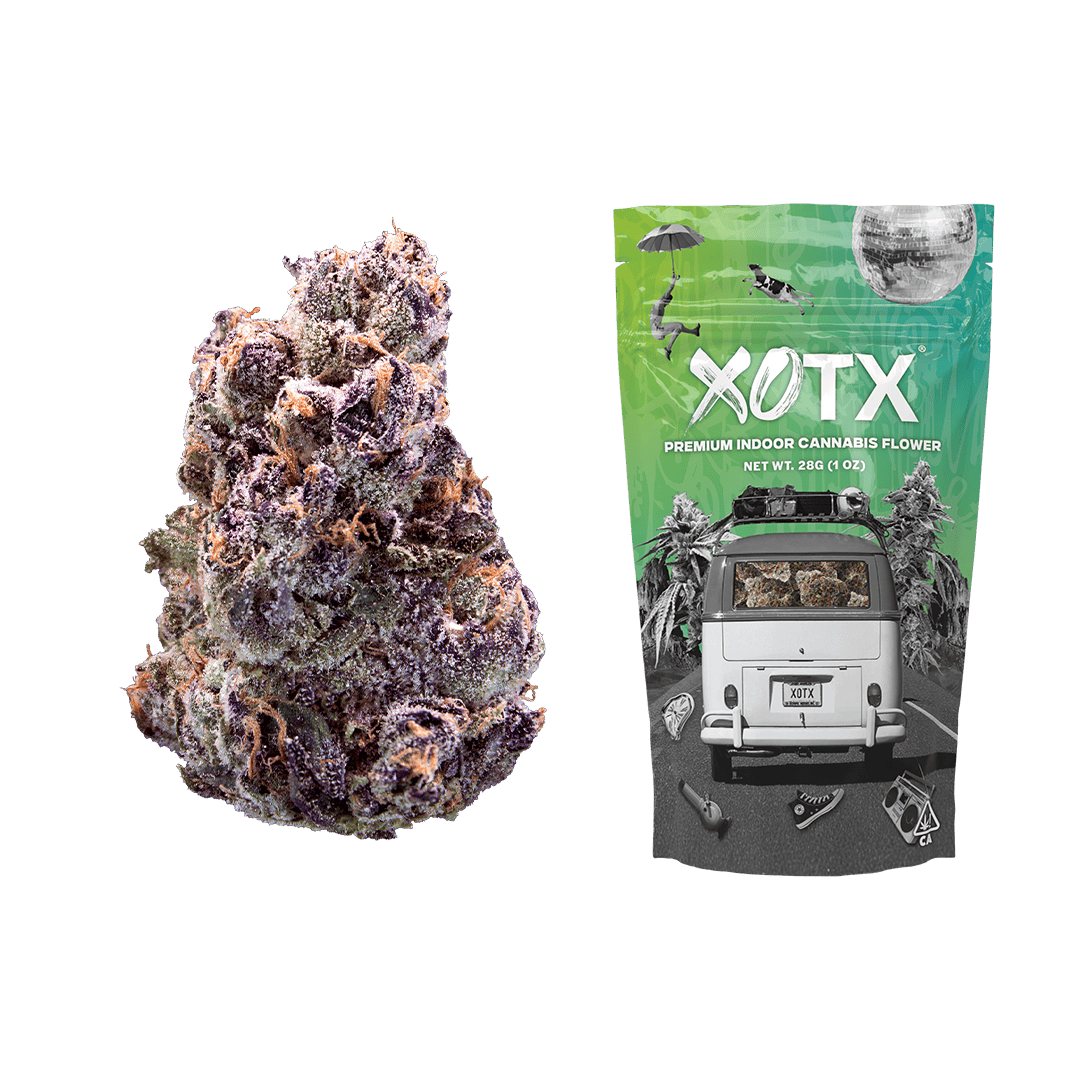 Maraschino Lemon Pop 28G - XOTX
