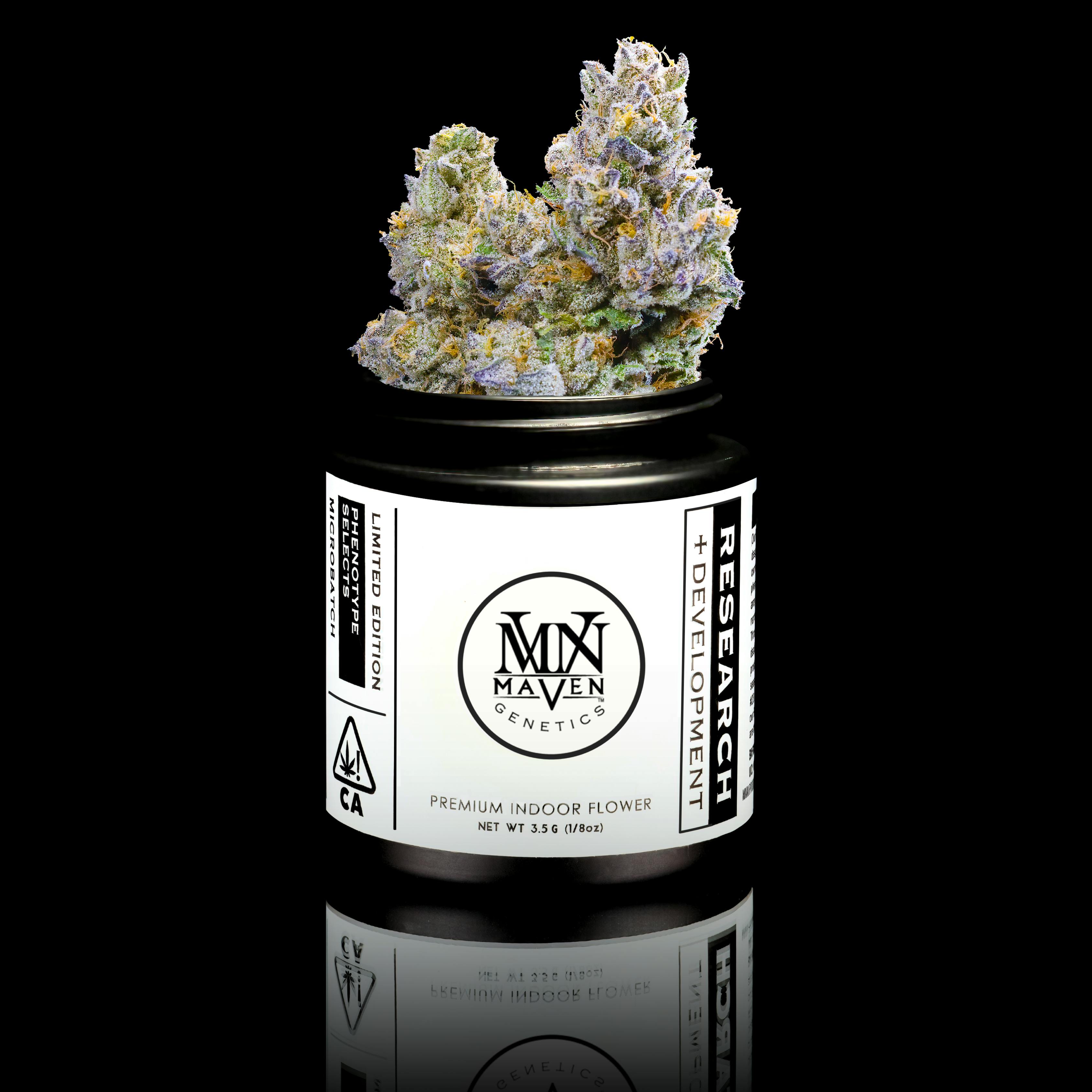 日本全国送料無料商品 | 特集  Lemon Honey Hibiscus Genetics Maven - #28 Sapphire Orange x スノーボード