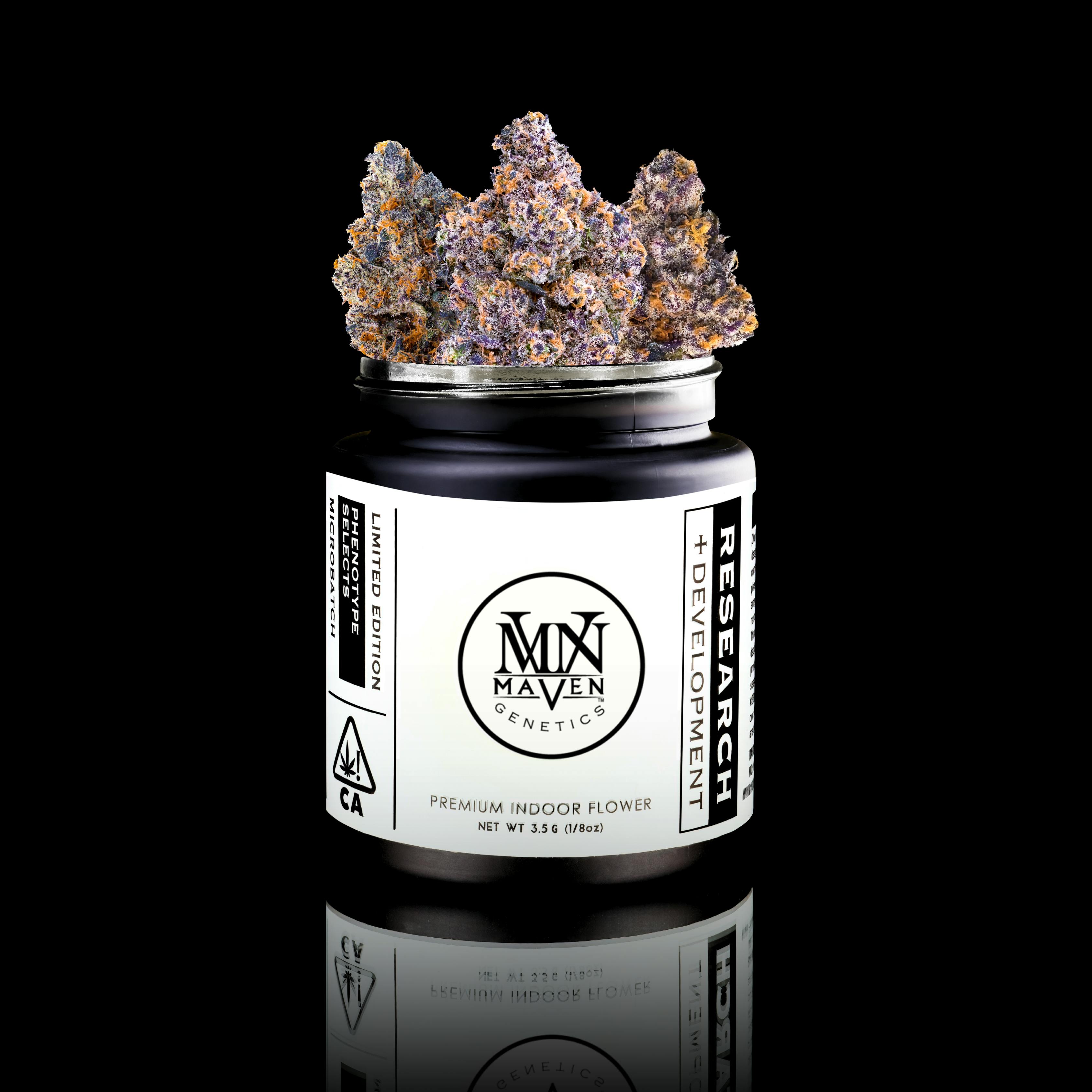Blue Agapē x 98 Reserve #31 [3.5g] - Maven Genetics
