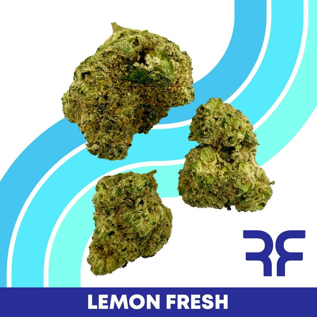 Lemon Fresh Small Buds - REEF Cannabis