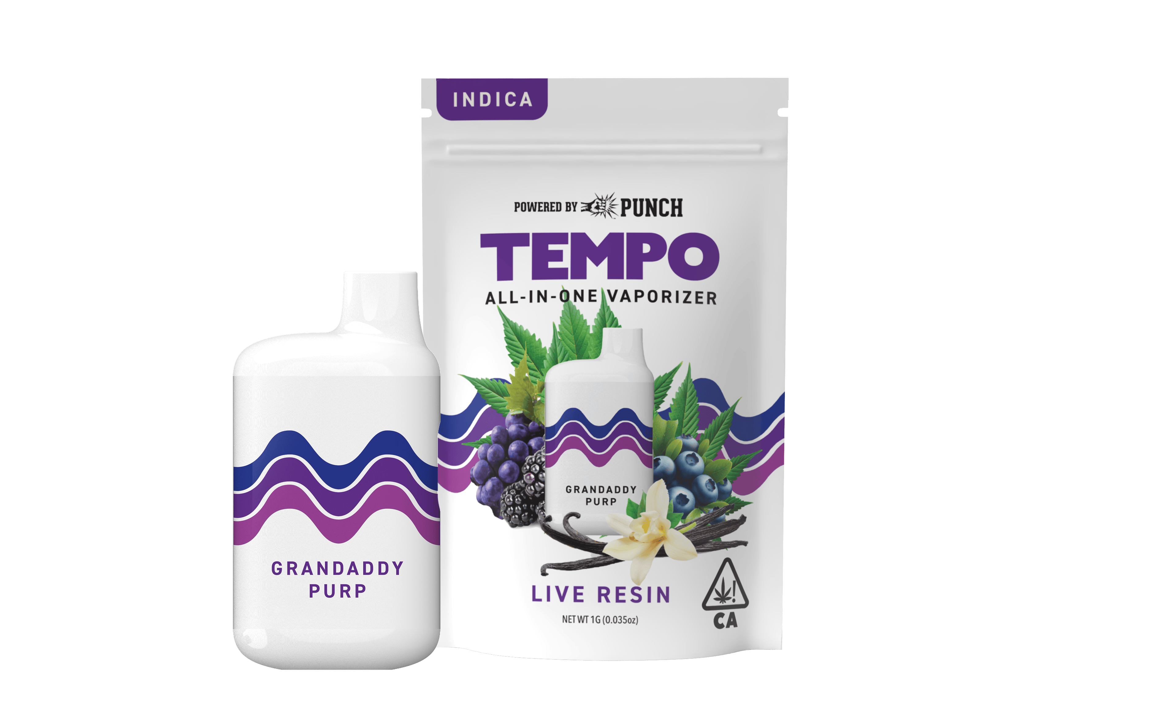 Tempo | Granddaddy Purple | Live Resin AIO Disposable | 1g - Tempo