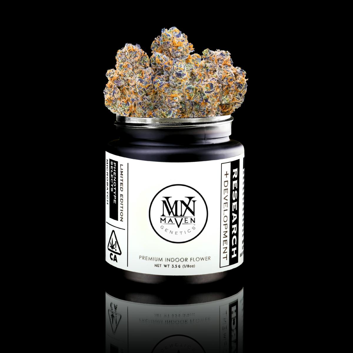 Orange Bellini x Key Lime Jack #8 [3.5g] - Maven Genetics
