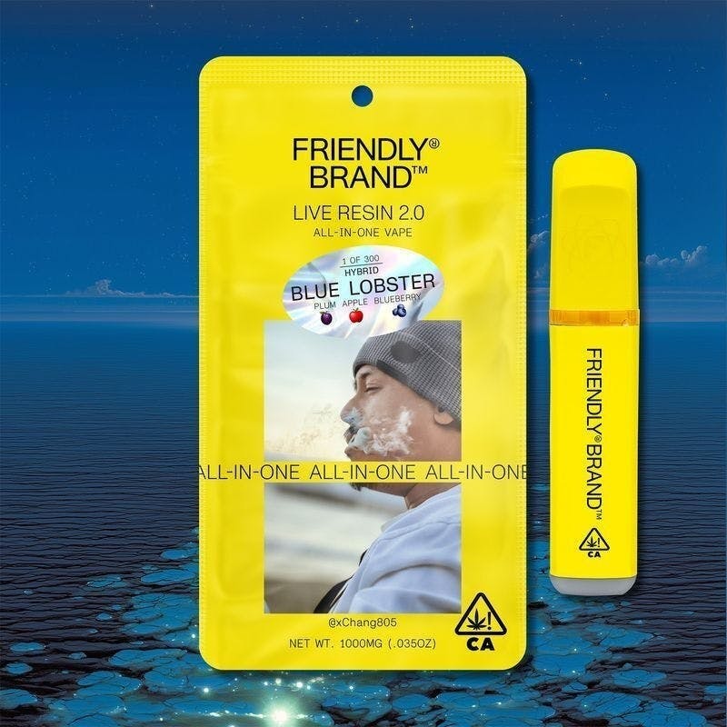 friendly farms vape Darf man ein Vape mit ins Flugzeug nehmen: Regeln und Tipps – Fantasi main image 0