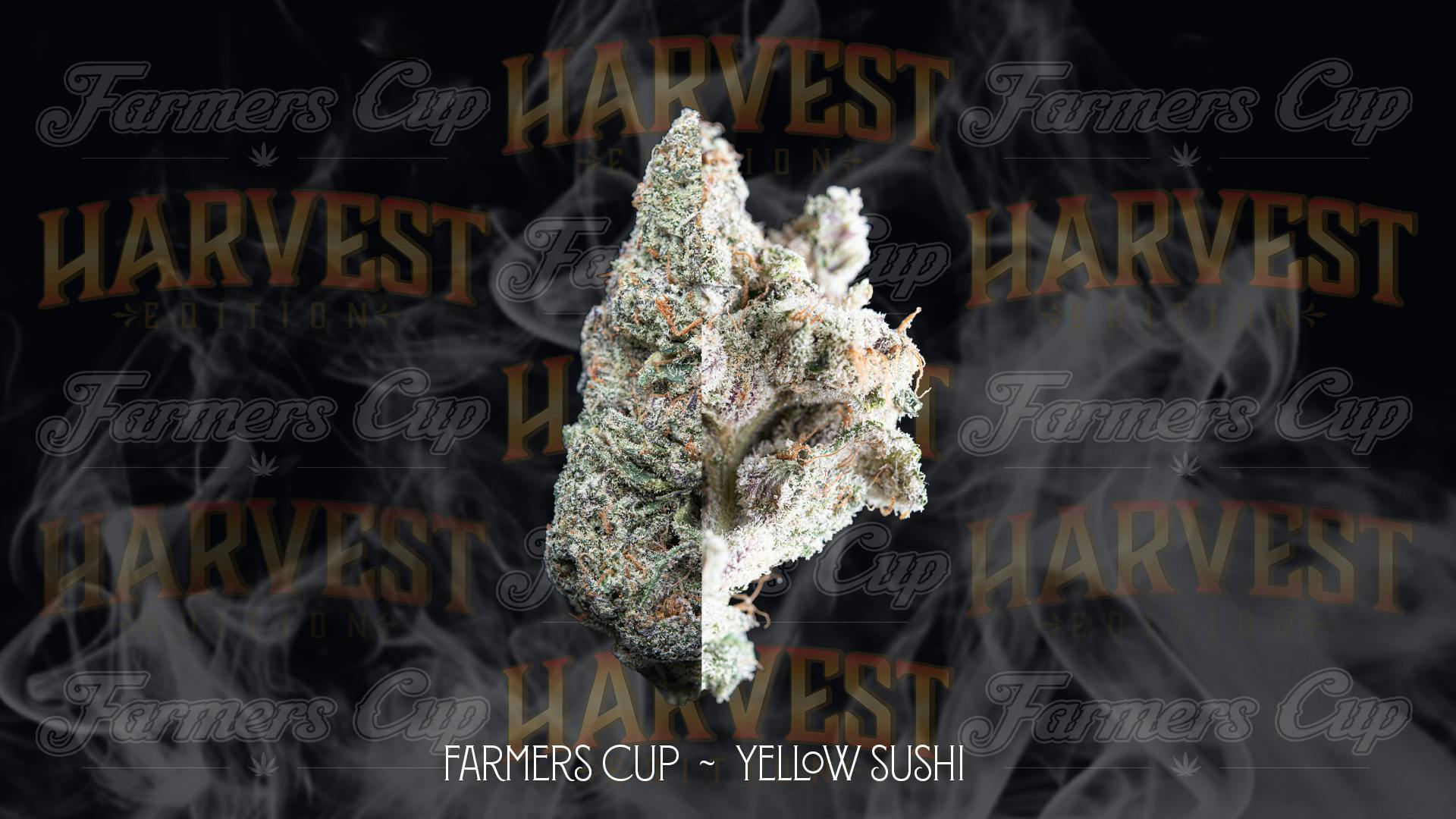 だるっち Farmer's Cup | Yellow Zushi | Big Buds | 4g - Farmer's Cup
