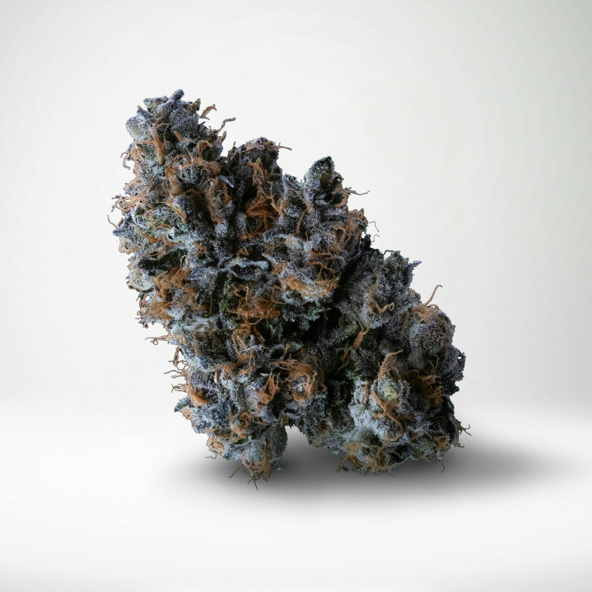 Wood Wide | OGZ | Big Buds | 3.5g - Wood Wide