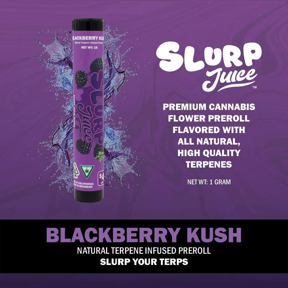 slurp juice vape Slurp Juice | Blackberry Kush | 1G Terp Infused PR