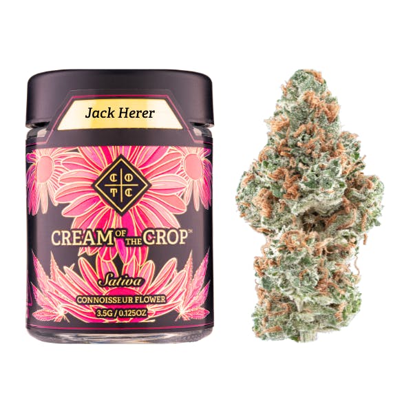 Jack Herer | 3.5g - Cream of the Crop