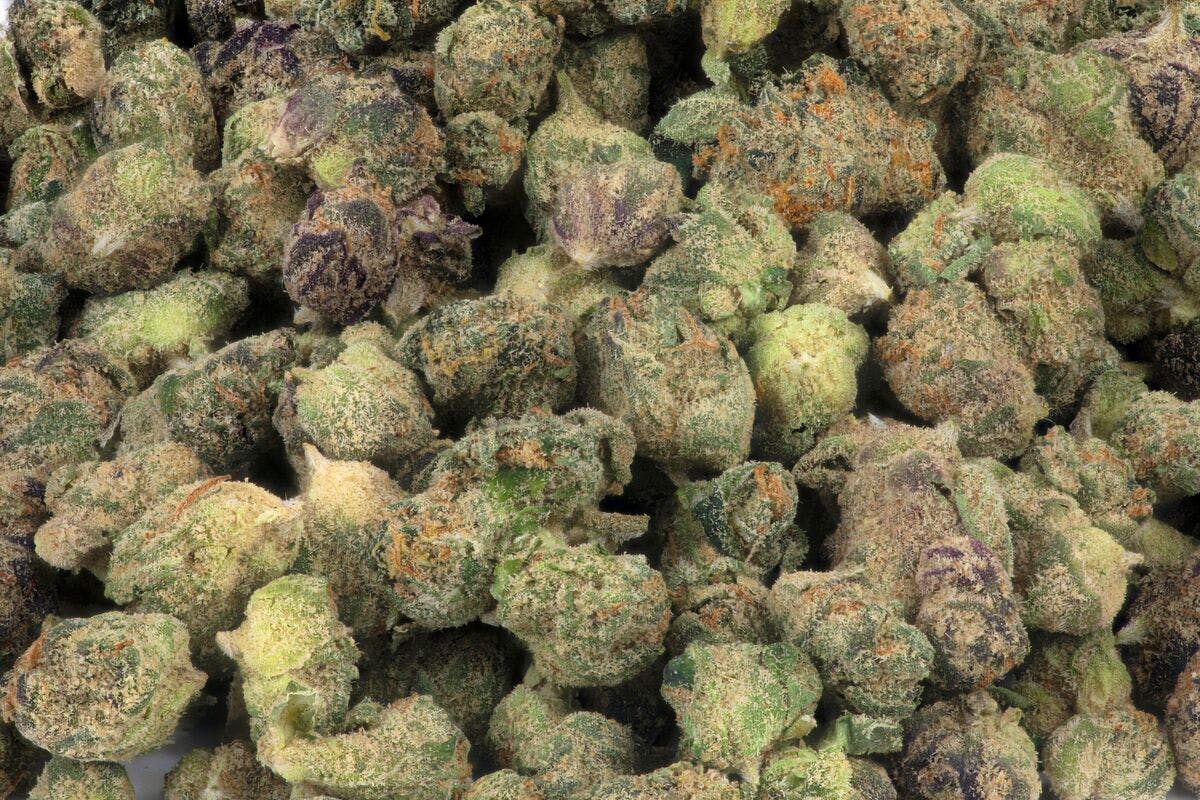 Micro Greenz | Lemon Z x Dosi | Indoor Flower - Micro Greenz