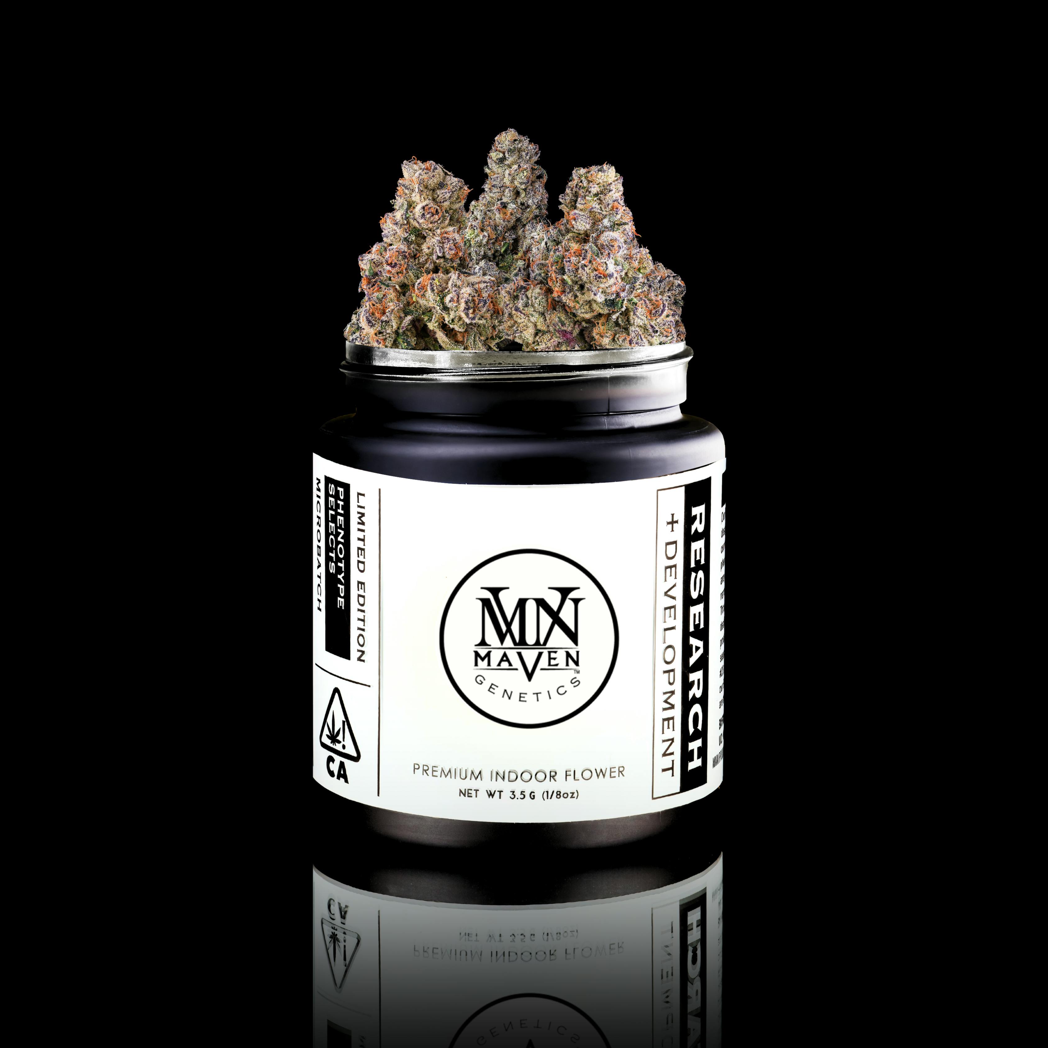 Prizm x Shangri-La #5 [3.5g] - Maven Genetics