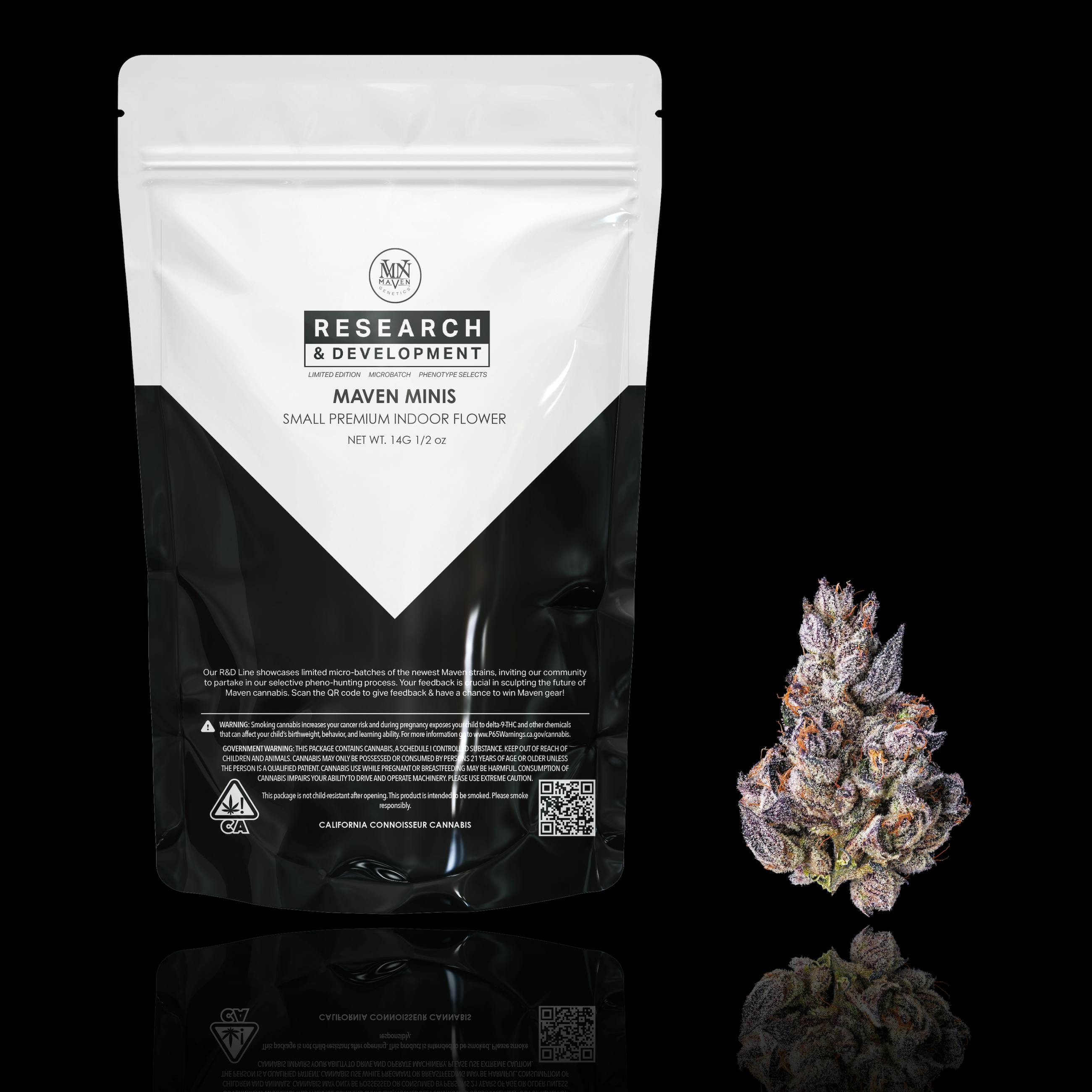 Prizm x RS-X #3 R&D Maven Minis [14g] - Maven Genetics