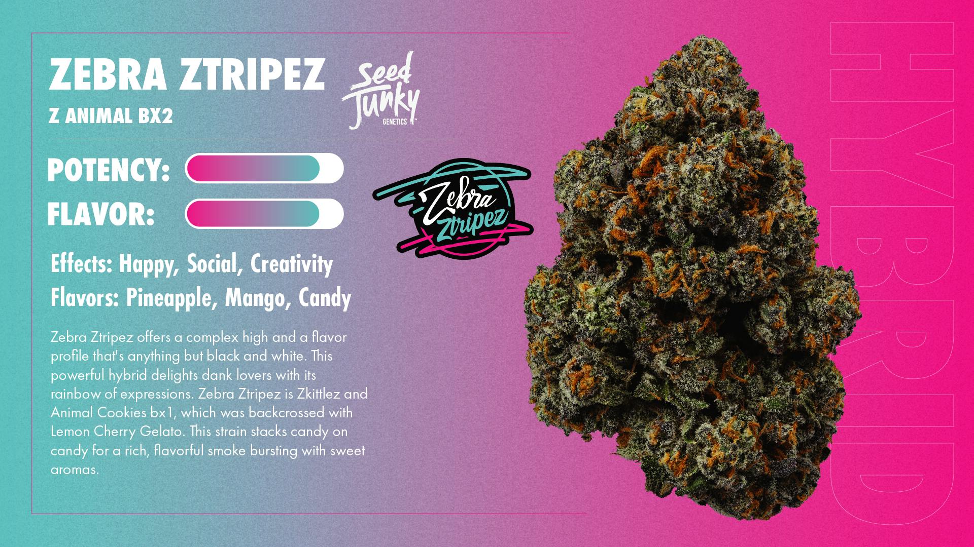 Seed Junky | Zebra Ztripez | Joint | 1g - Seed Junky