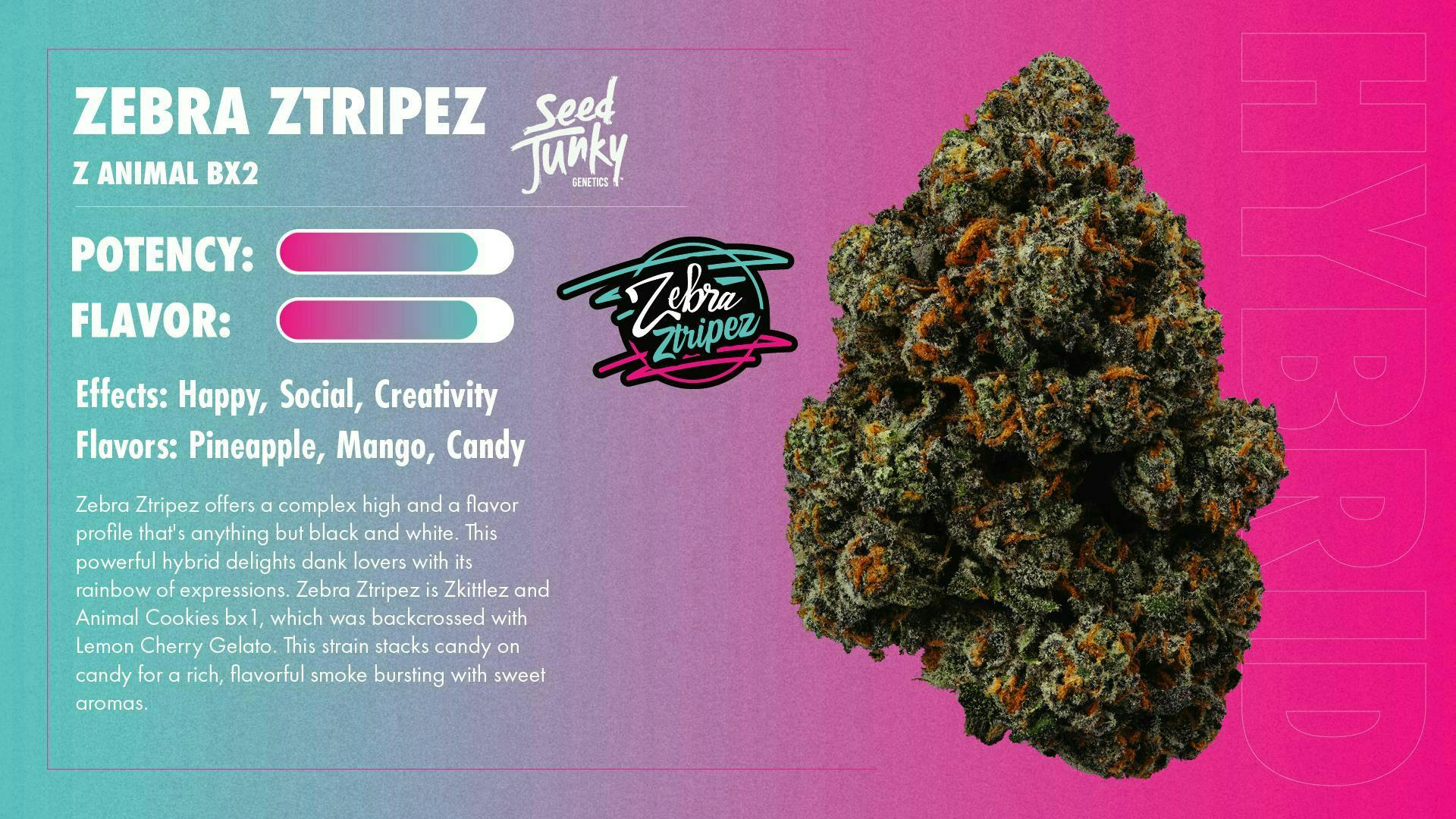 Seed Junky | Zebra Ztripez | Joint | 1g - Seed Junky
