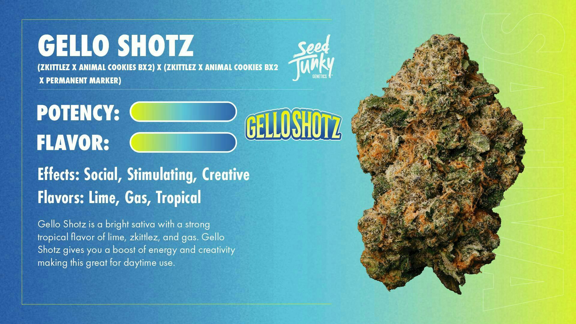 Gello Shotz | Smalls | 14g - Seed Junky
