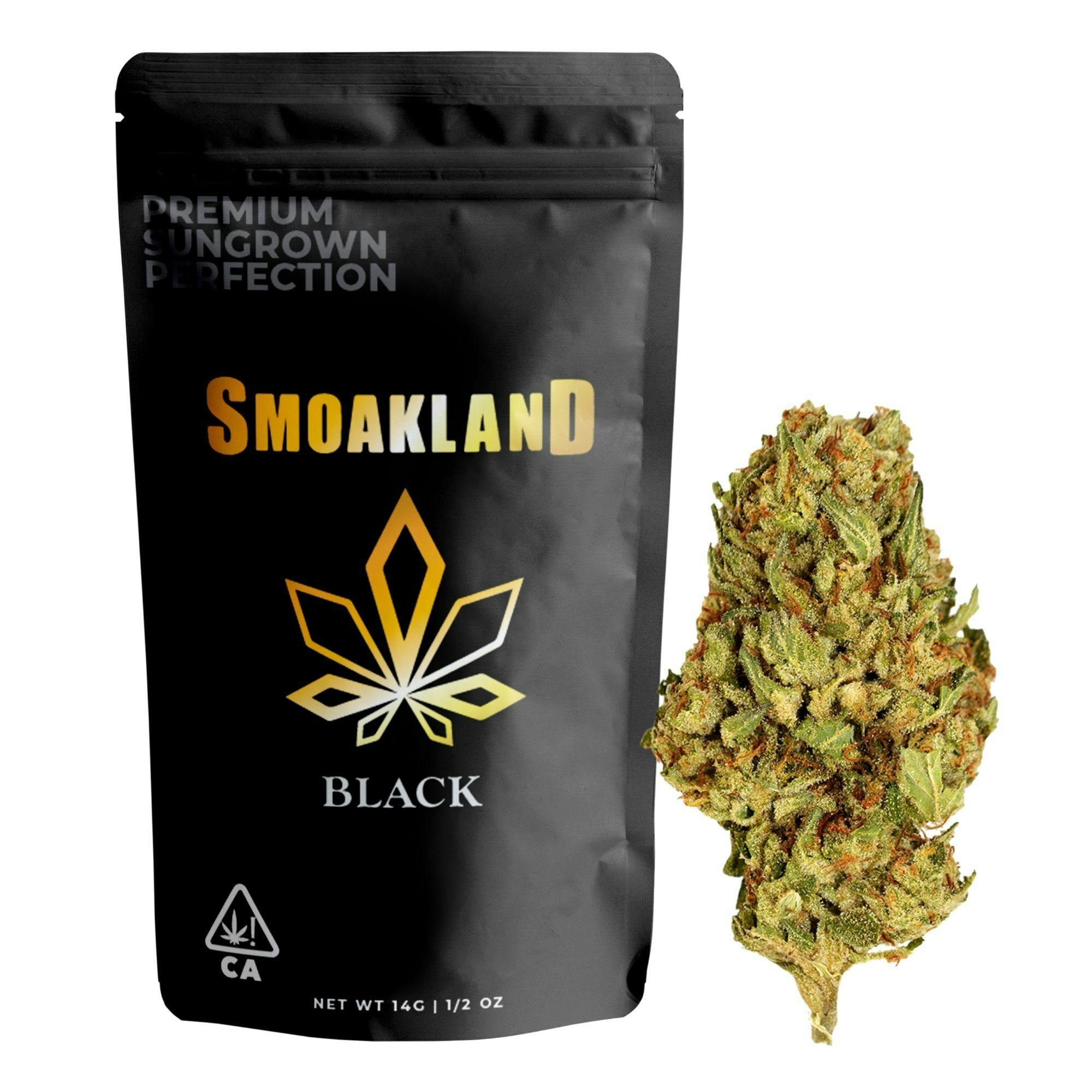 Black - Black Cherry Gelato (I) - 14g