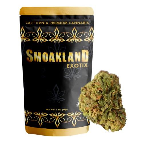 Exotix - Space Queen (H) - 14g