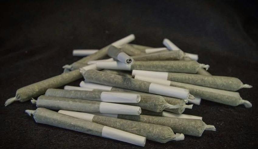 .5g | Purple Dragon | Preroll | Arctic Earth