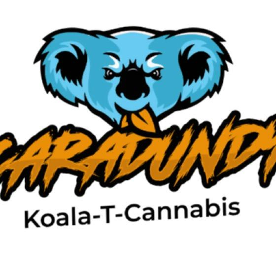 * .5g | Midnight Spice | Cartridge | Caradundy Concentrates