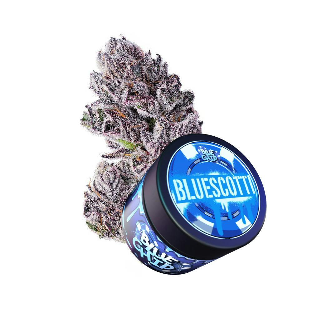 Blue Chip Bluescotti