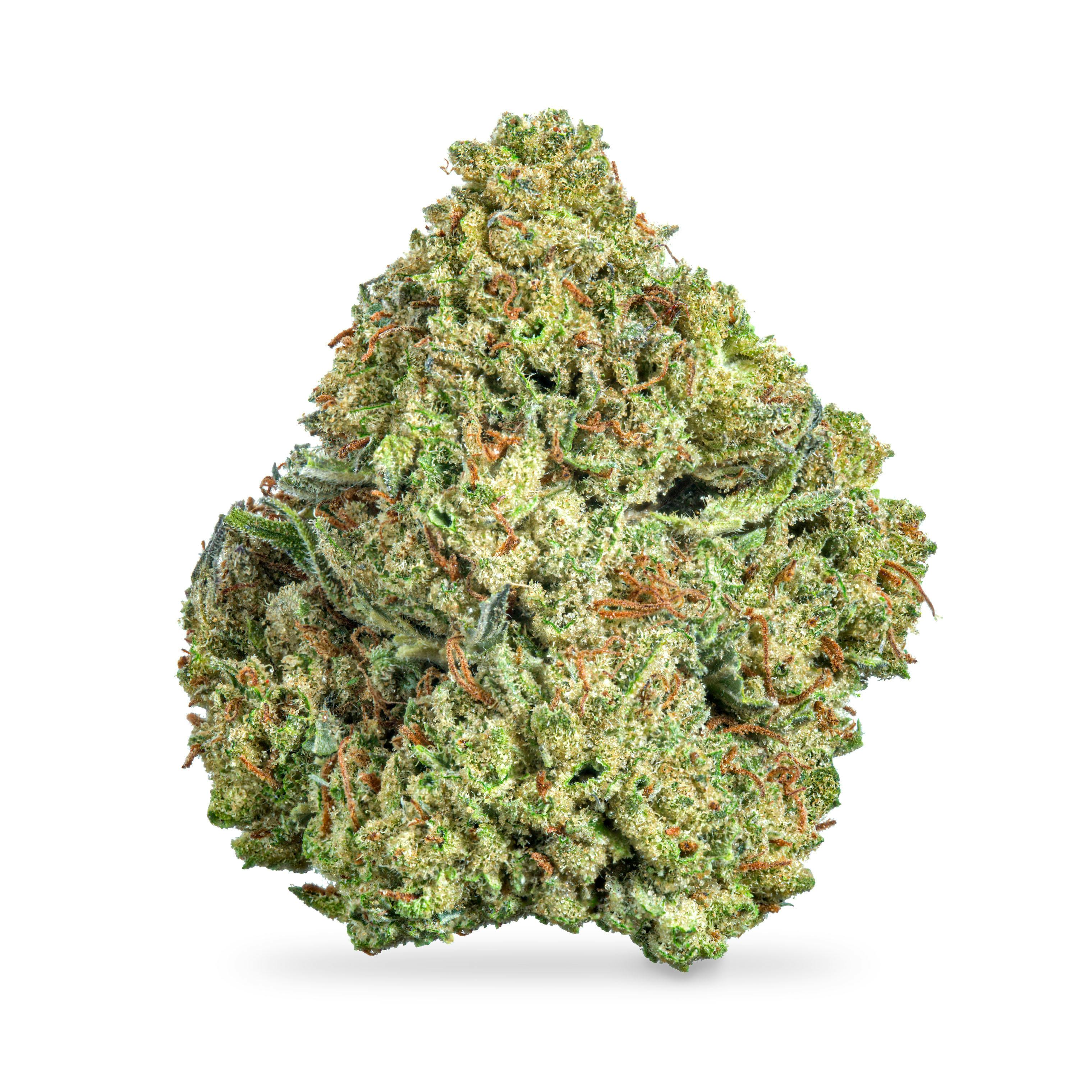 Horchata Popcorn Buds