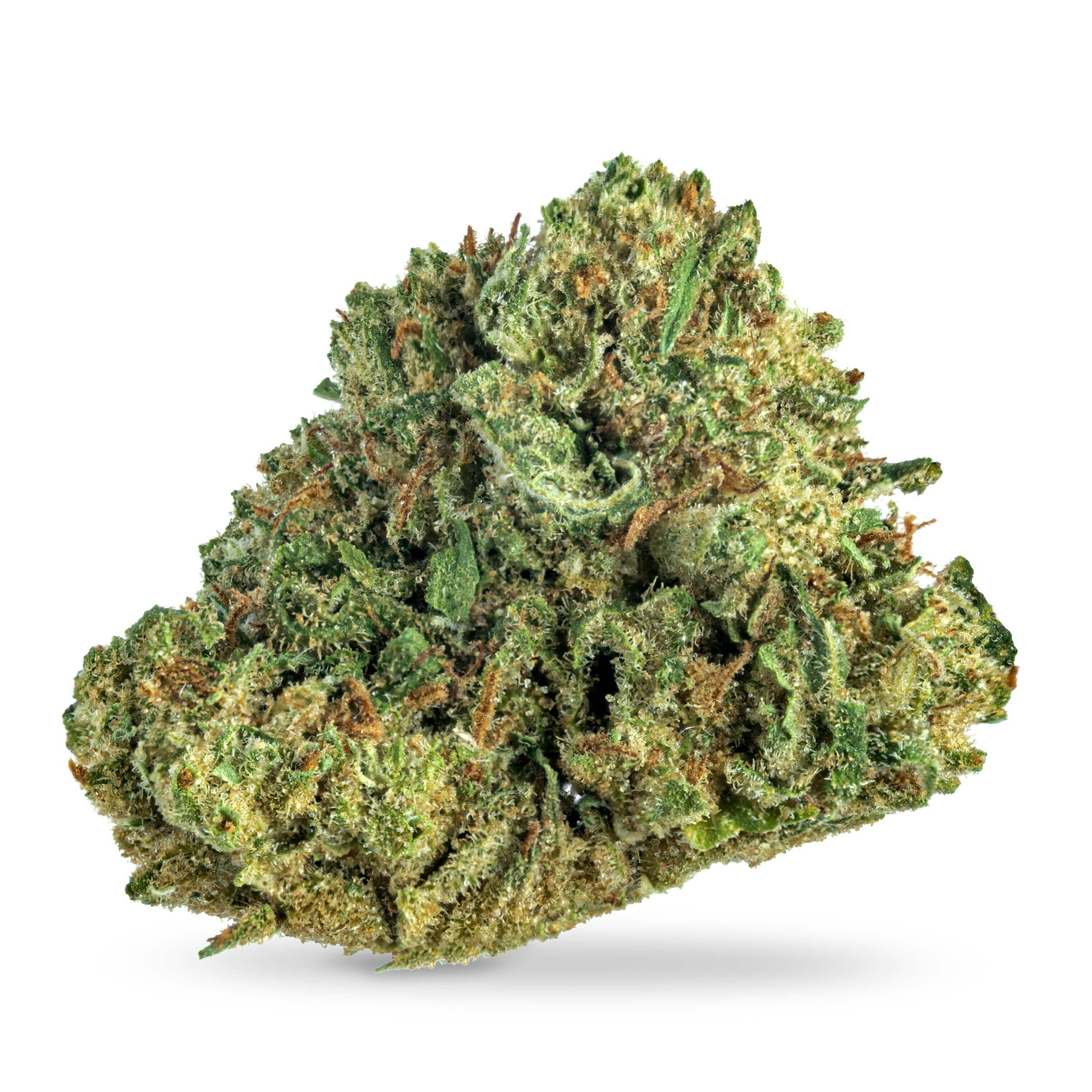 Honey Banana x Sherbhead