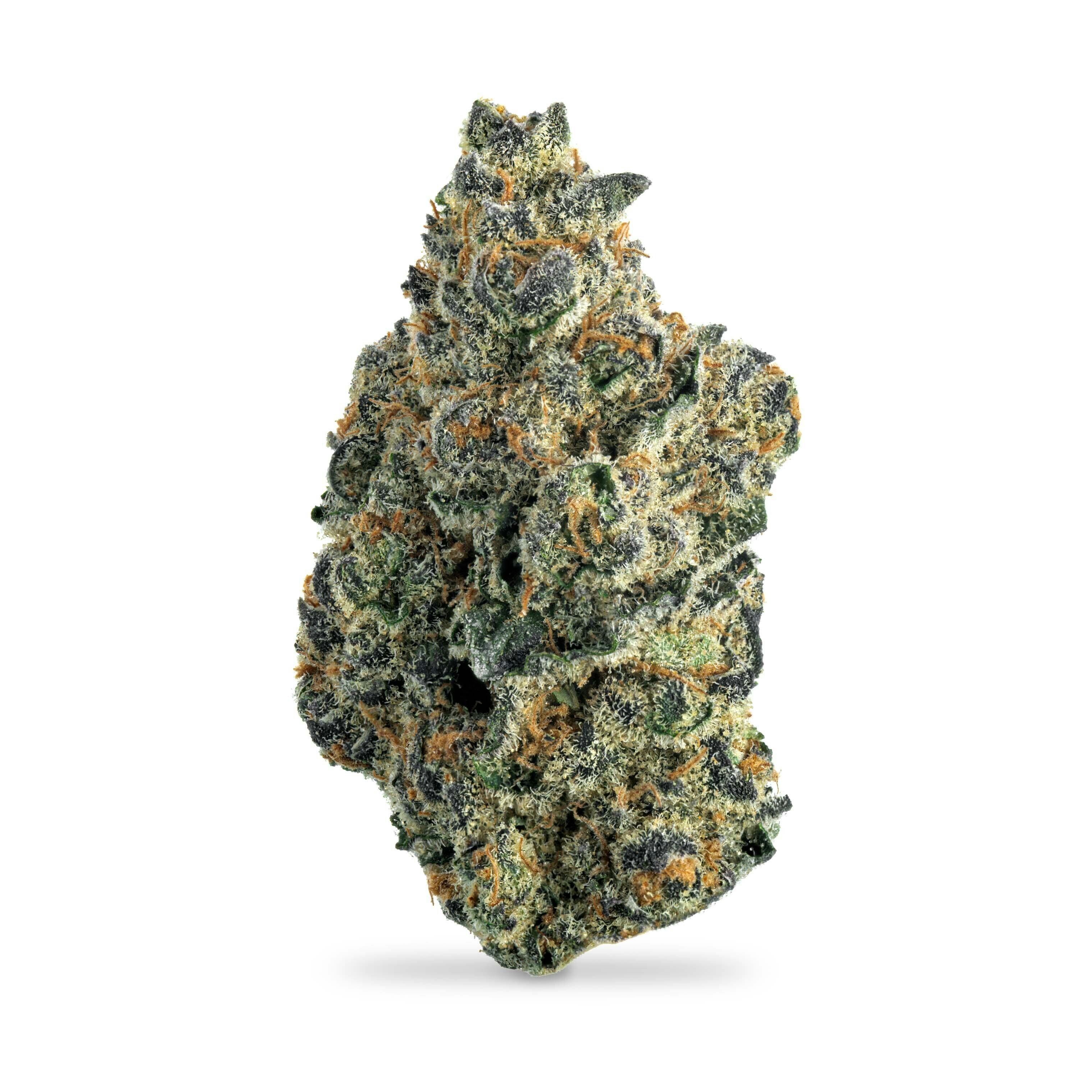 Tropicana Cherry Gas - Smalls