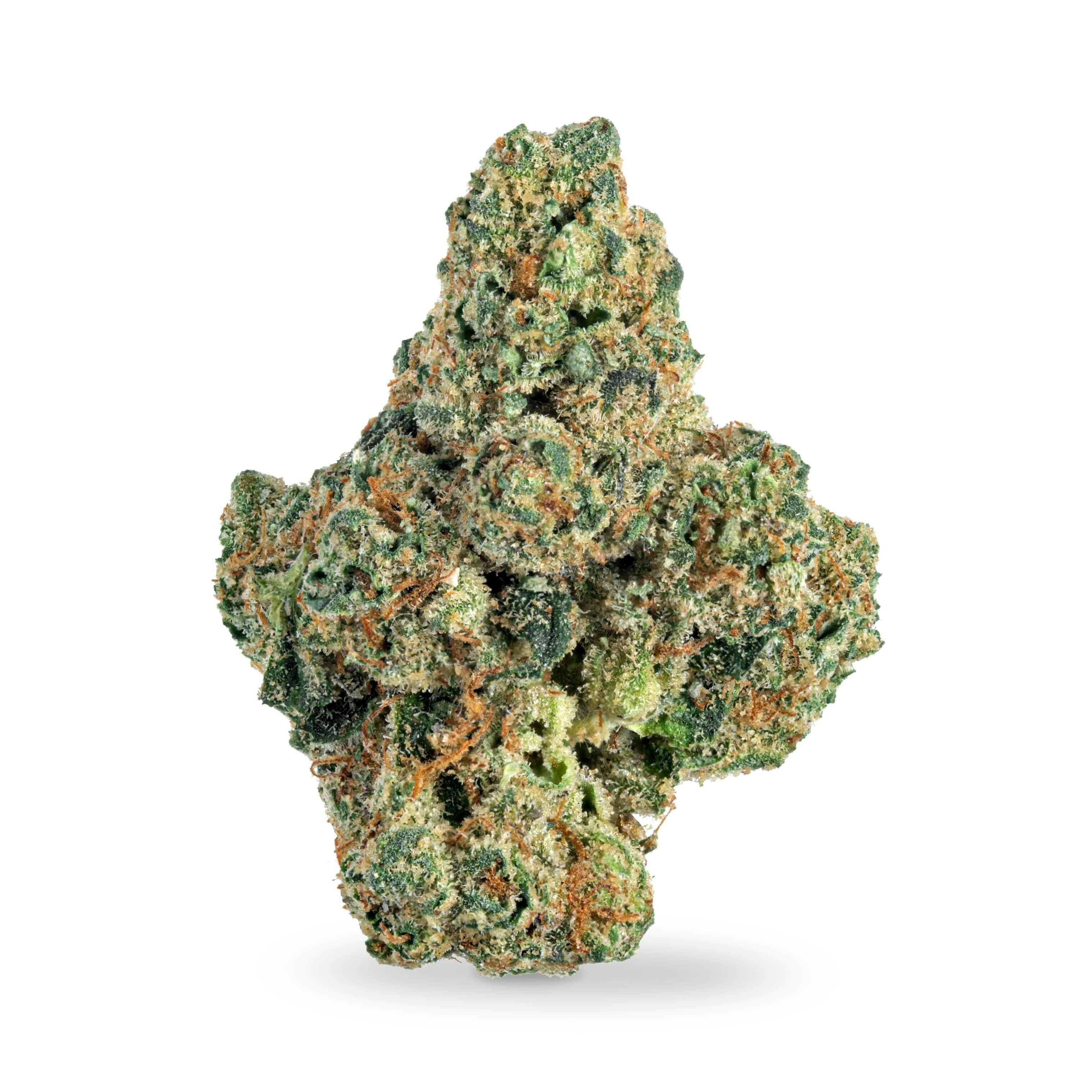Green Tsunami