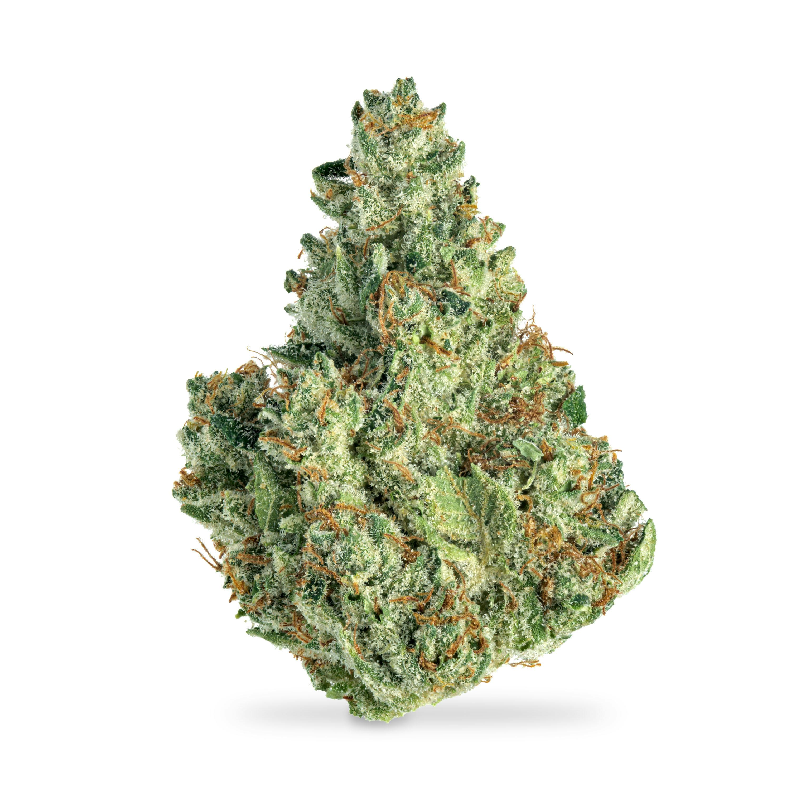 Vanilla Custard B Buds